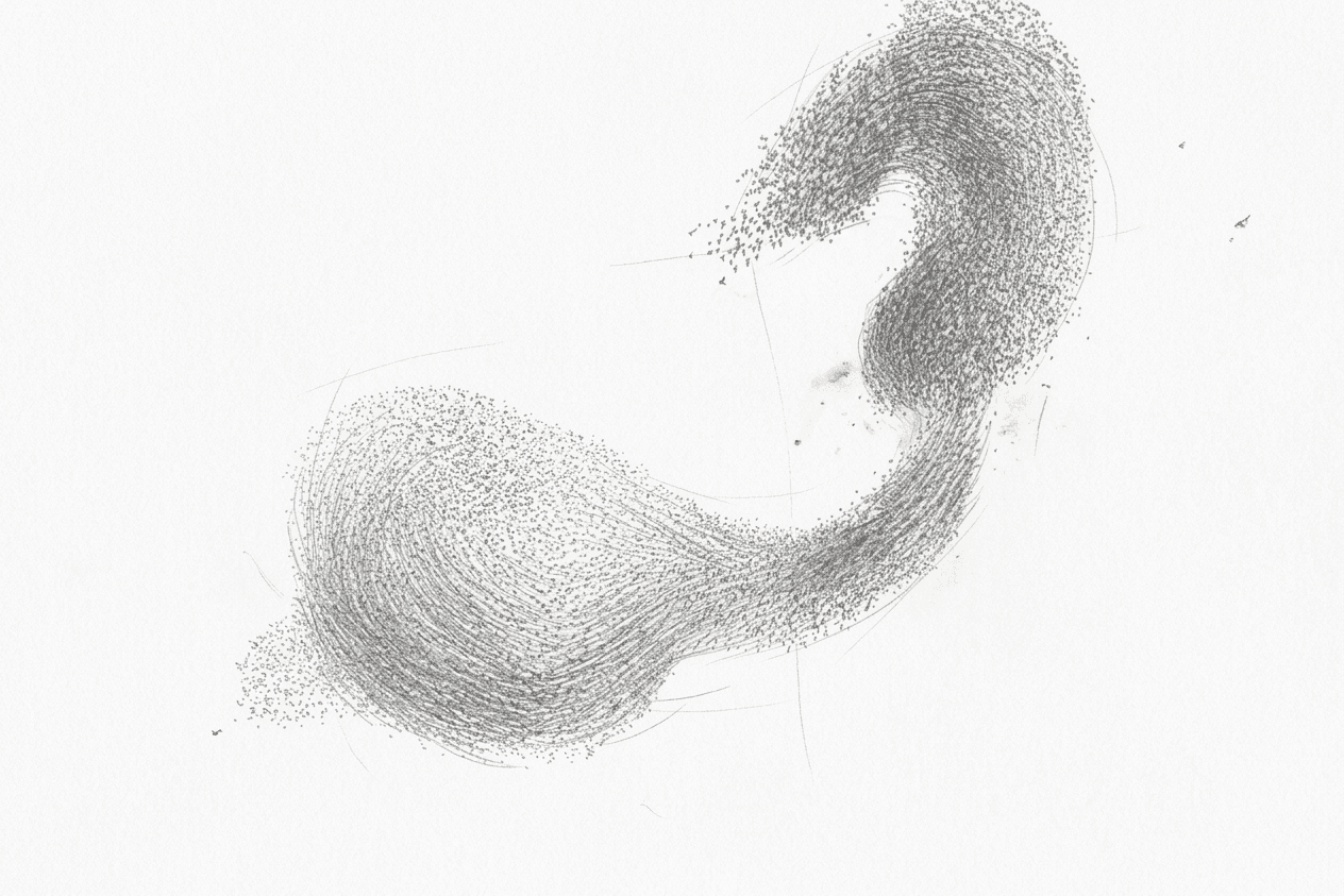 Emergence visualization